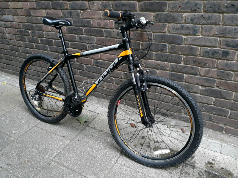 raleigh surge mountain bike